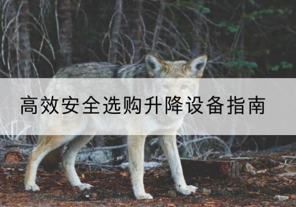 江陵升降货梯厂家推荐-*安全选购升降设备指南
