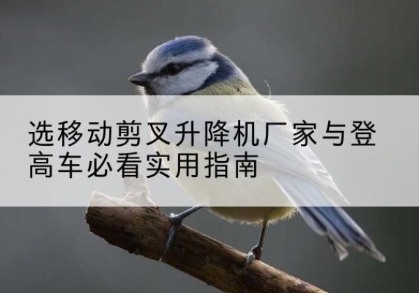江陵电动升降机厂家-选移动剪叉升降机厂家与登高车必看实用指南