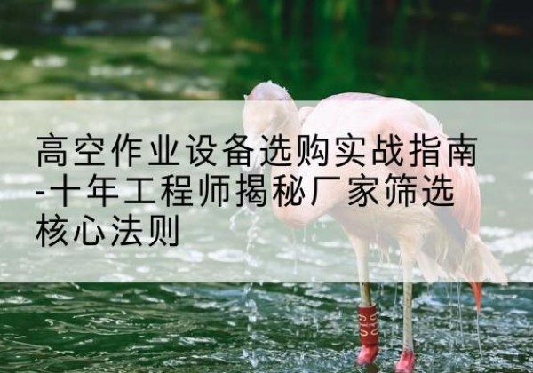 江陵剪叉式升降机厂家-高空作业设备选购实战指南-十年工程师揭秘厂家筛选核心法则
